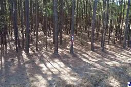 Tbd Freeman Rd (lot A) photo 4