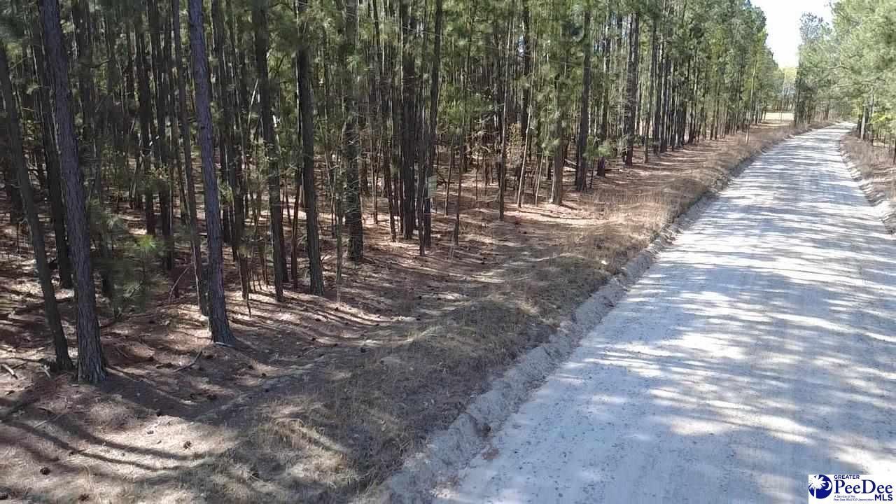 Tbd Freeman Rd (lot A) Photo 5