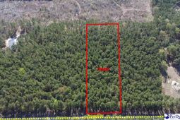 Tbd Freeman Rd (lot B) photo 4