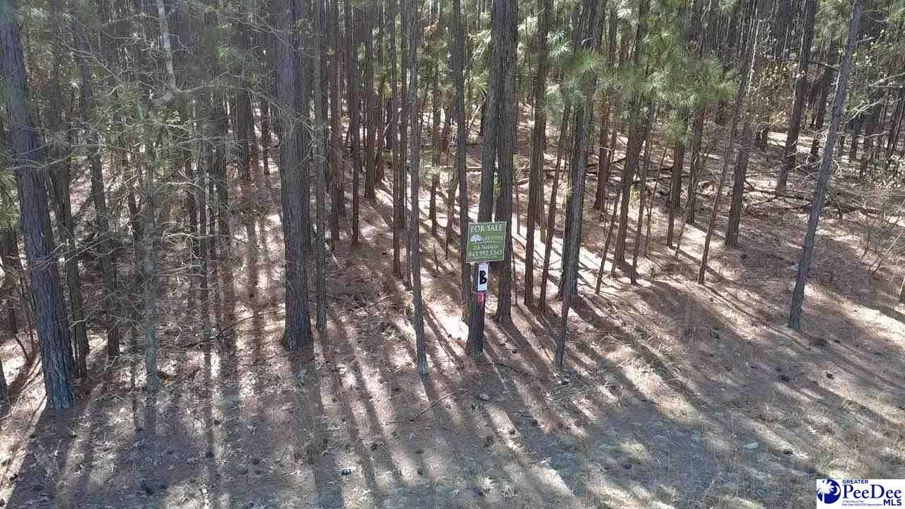 Tbd Freeman Rd (lot B) Photo 4