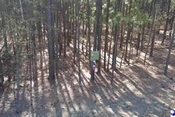 Tbd Freeman Rd (lot B) photo 4