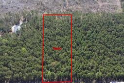 Tbd Freeman Rd (lot C) photo 4