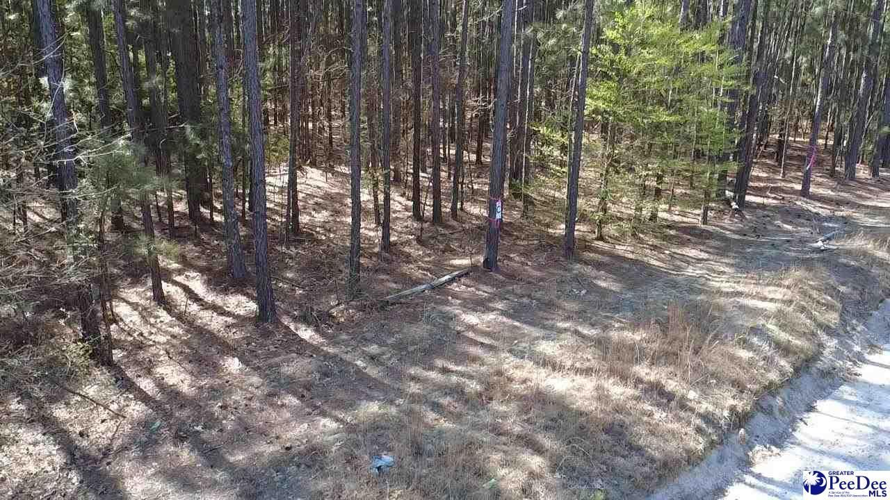 Tbd Freeman Rd (lot C) Photo 5