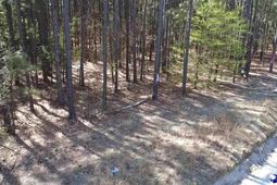 Tbd Freeman Rd (lot C) photo 4