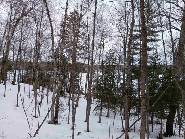 Lot 1 County Line Lake Crossroad, Watersmeet Twp, MI 49969