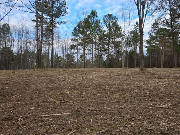 Lot 49 and 50 Lake View Drive, Mentone, AL 35984