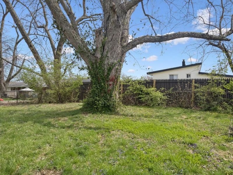 Forest Park, OH 45240 Photo 12