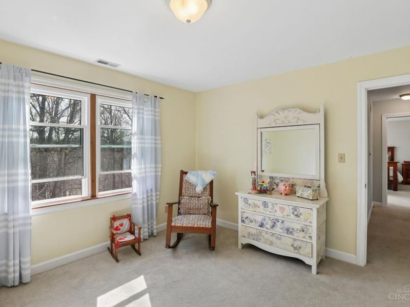 3790 E Fagins Run Loop Road, New Richmond, OH 45157 Photo 42