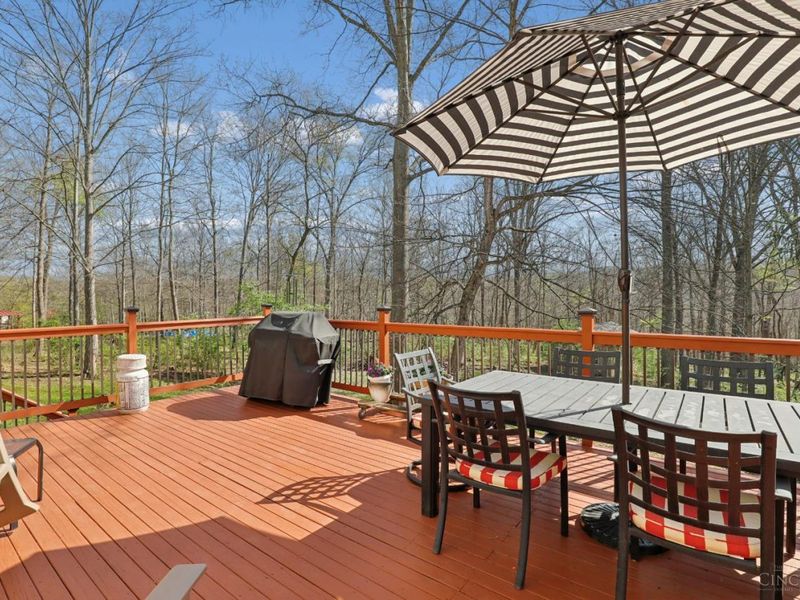 3790 E Fagins Run Loop Road, New Richmond, OH 45157 Photo 54