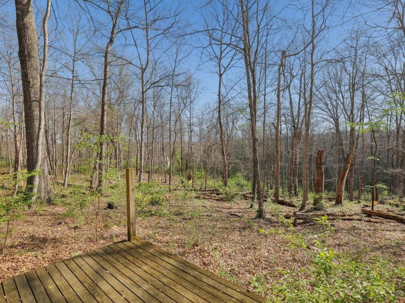 3790 E Fagins Run Loop Road, New Richmond, OH 45157 Photo 63