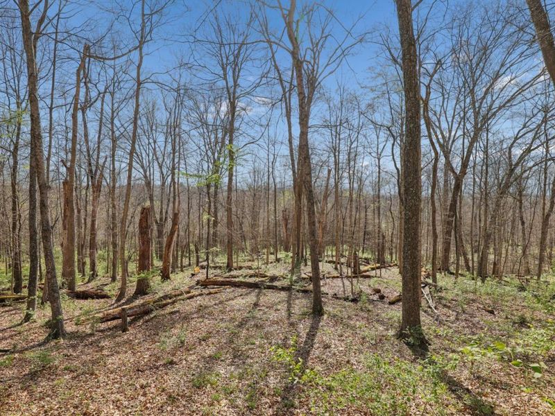 3790 E Fagins Run Loop Road, New Richmond, OH 45157 Photo 67