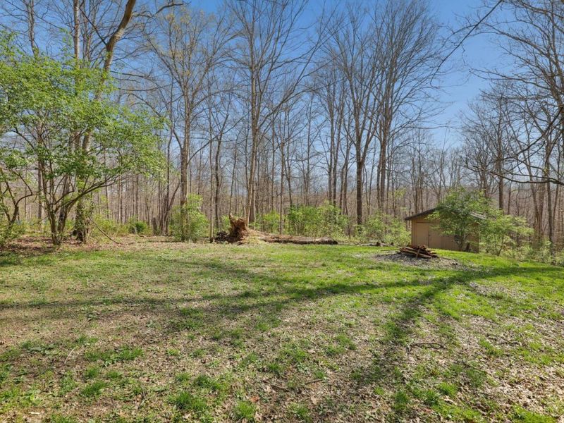 3790 E Fagins Run Loop Road, New Richmond, OH 45157 Photo 68