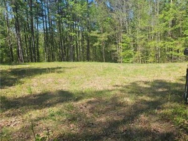 1041 Pintail Lane, Madison, GA 30650