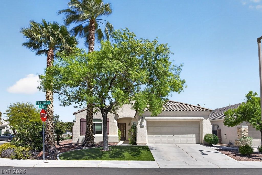 2536 Belgreen Street, Las Vegas, NV 89135 Main Photo