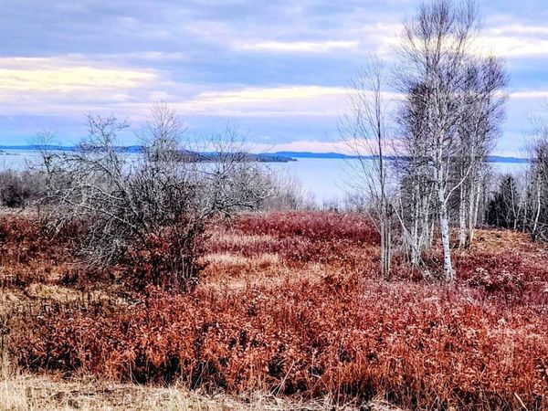 Lot 52 US- Route 1, Robbinston, ME 04668