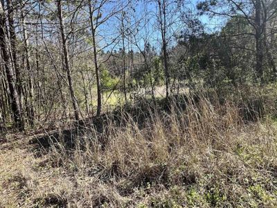 W S Wakefield Rd, Columbia, SC 29203