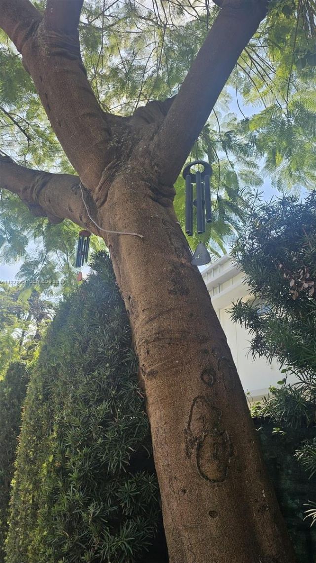 1616 Michigan Ave, Unit 11, Miami Beach, FL 33139 Photo