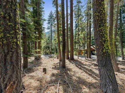 880 Sunny Drive, Homewood, CA 96141 Photo