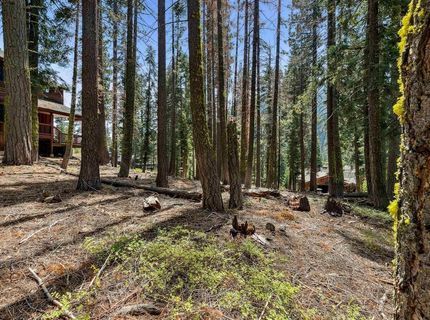 880 Sunny Drive, Homewood, CA 96141 Photo