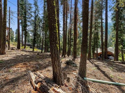 880 Sunny Drive, Homewood, CA 96141 Photo