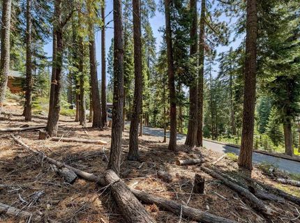 880 Sunny Drive, Homewood, CA 96141 Photo
