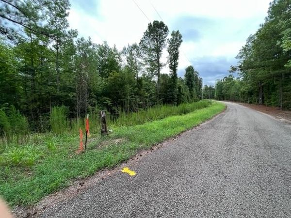 TRACT 8 BULLMAN RD, Finger, TN 38334