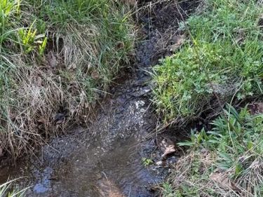 Lot 1-9 DRAGONS ROAD, LINDEN, VA 22642