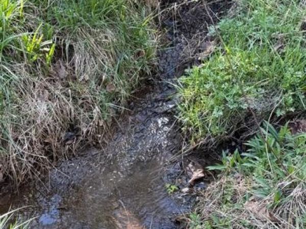 Lot 1-9 DRAGONS ROAD, LINDEN, VA 22642