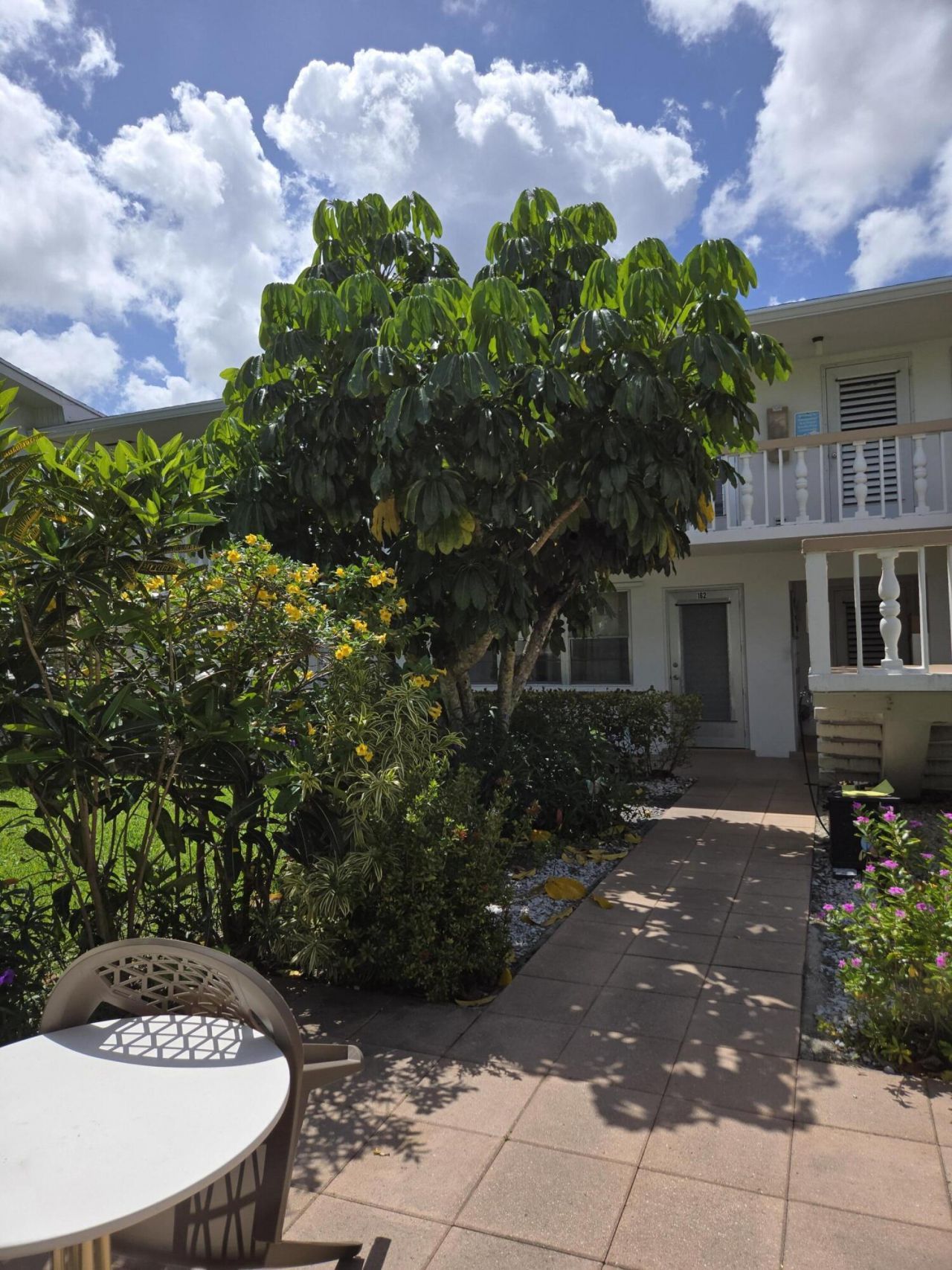 174 Windsor H, West Palm Beach, FL 33417 Photo