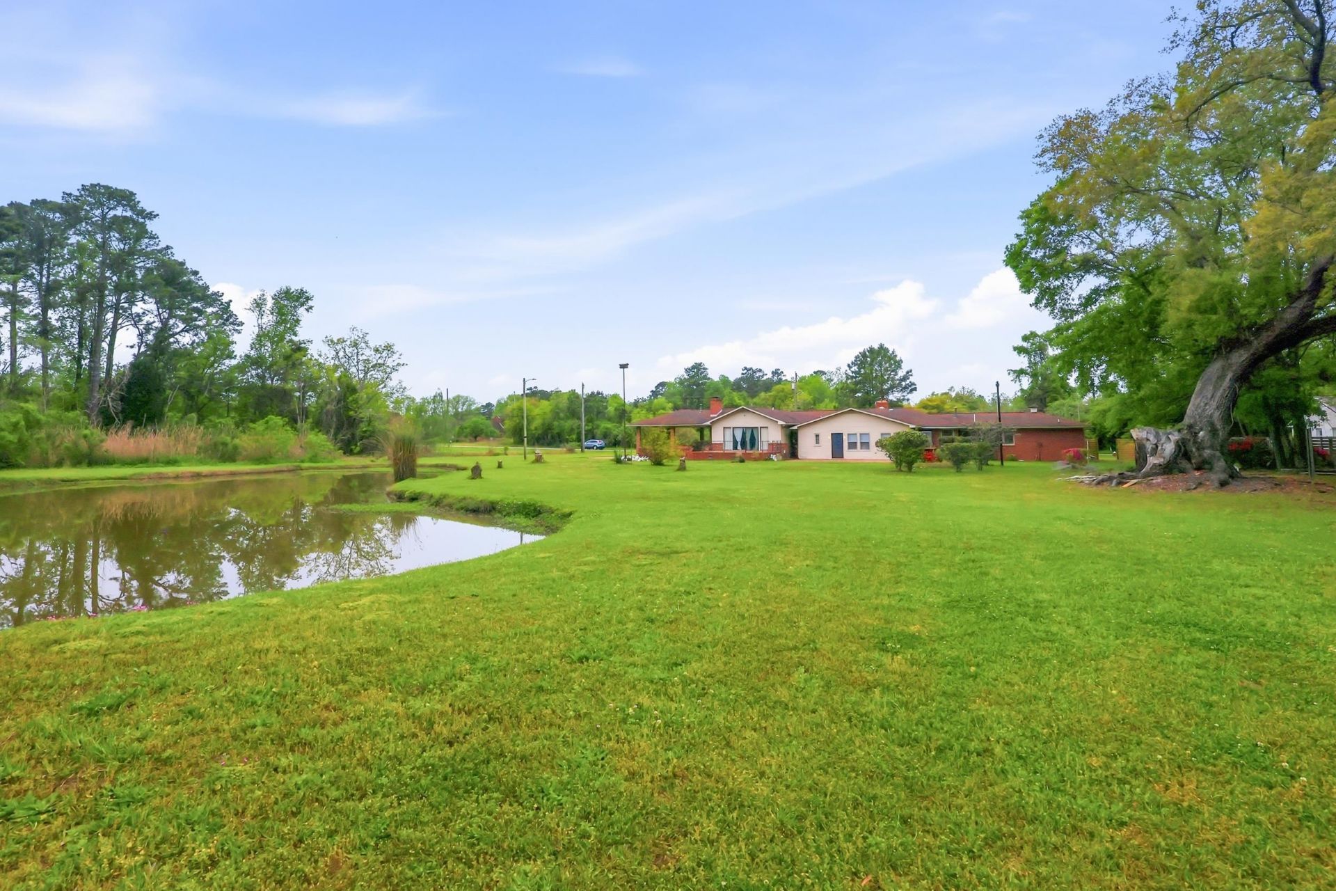 1515 Oak St. Photo 28