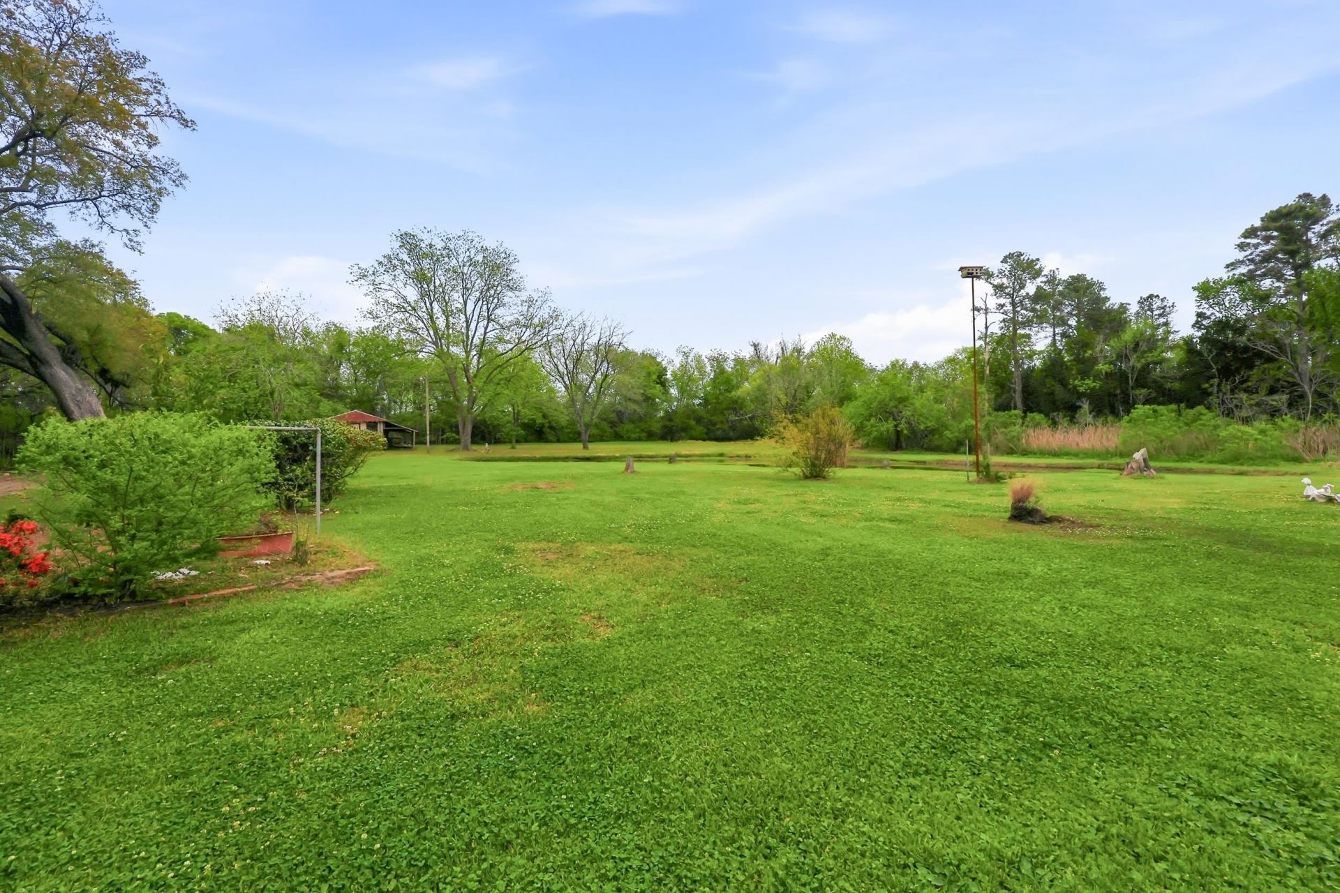 1515 Oak St. Photo 34