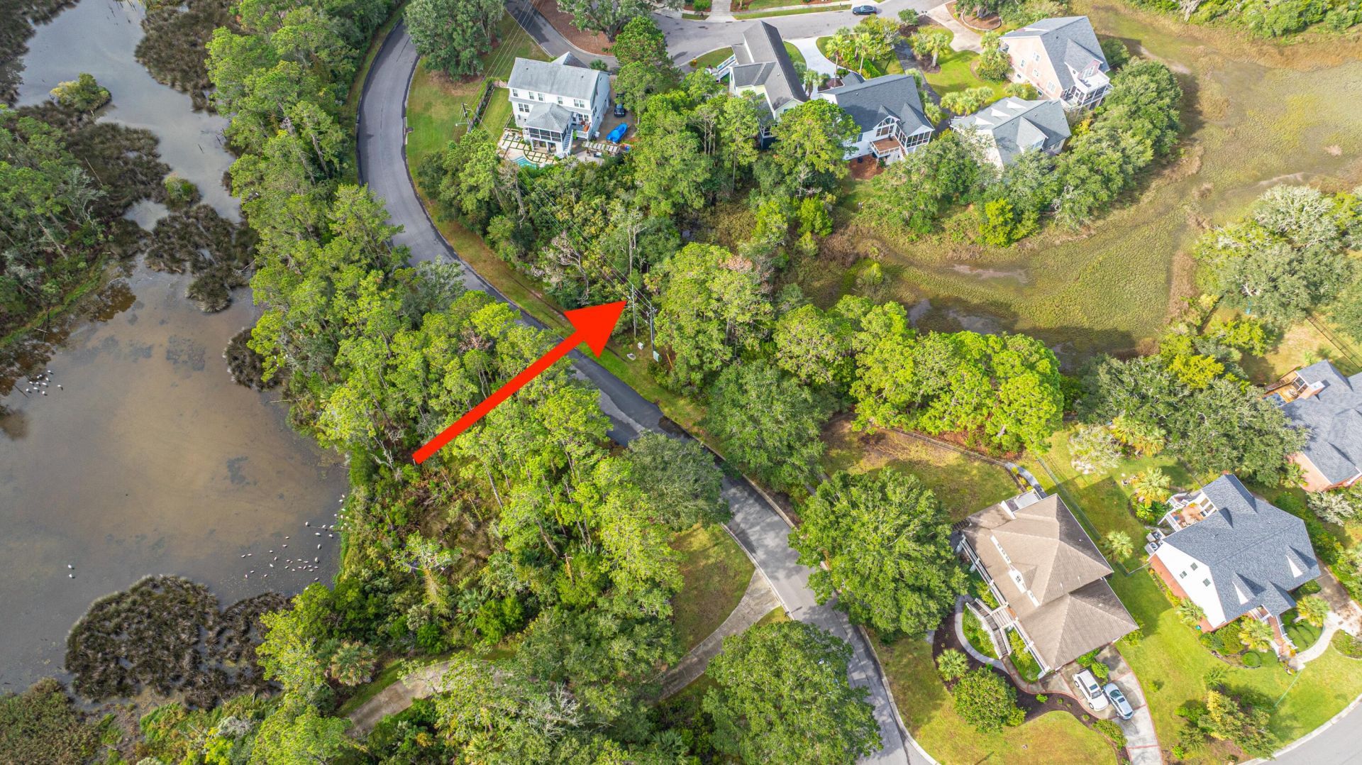 1250 Seaside Plantation Drive Photo 2