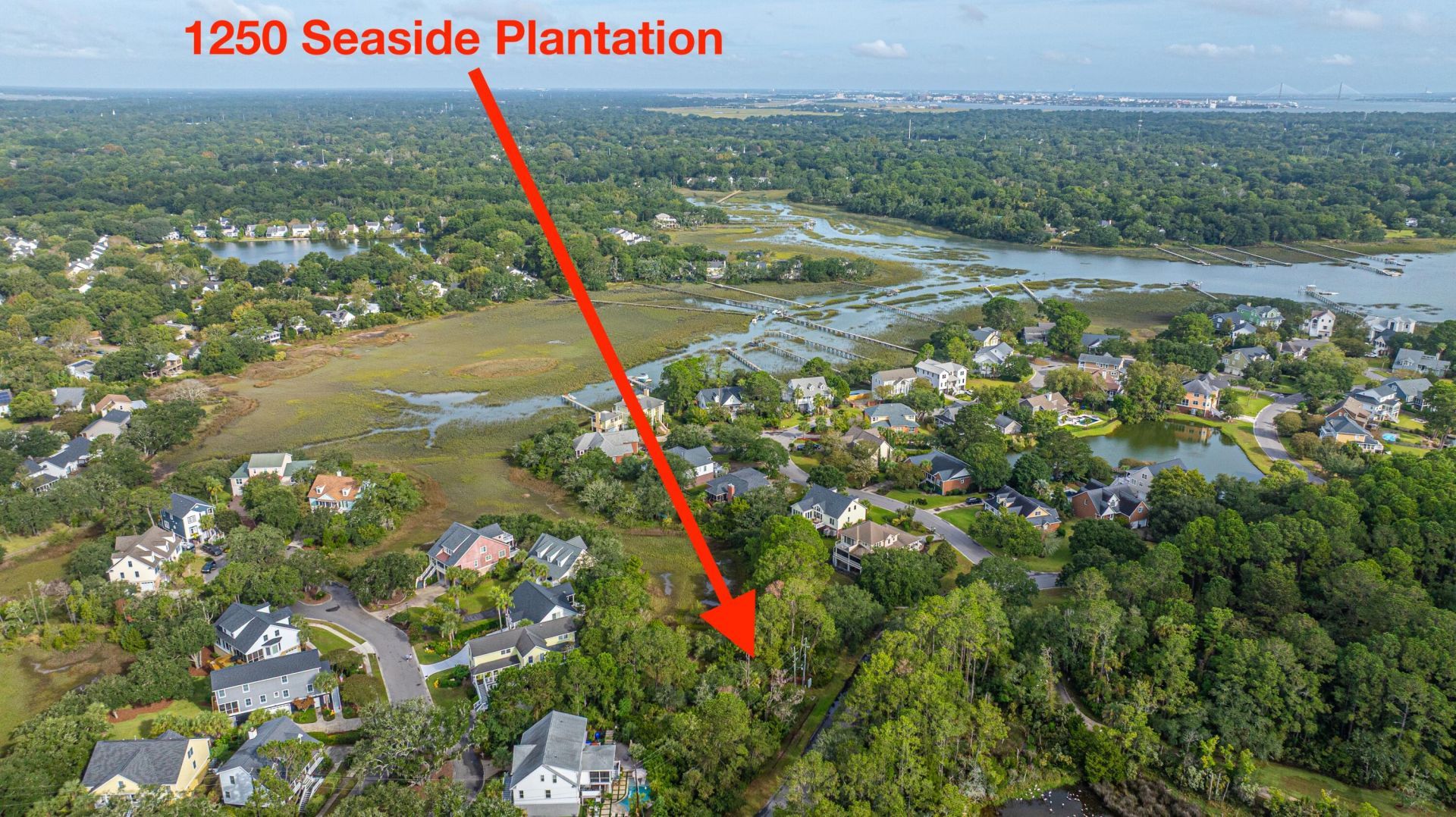 1250 Seaside Plantation Drive Photo 4