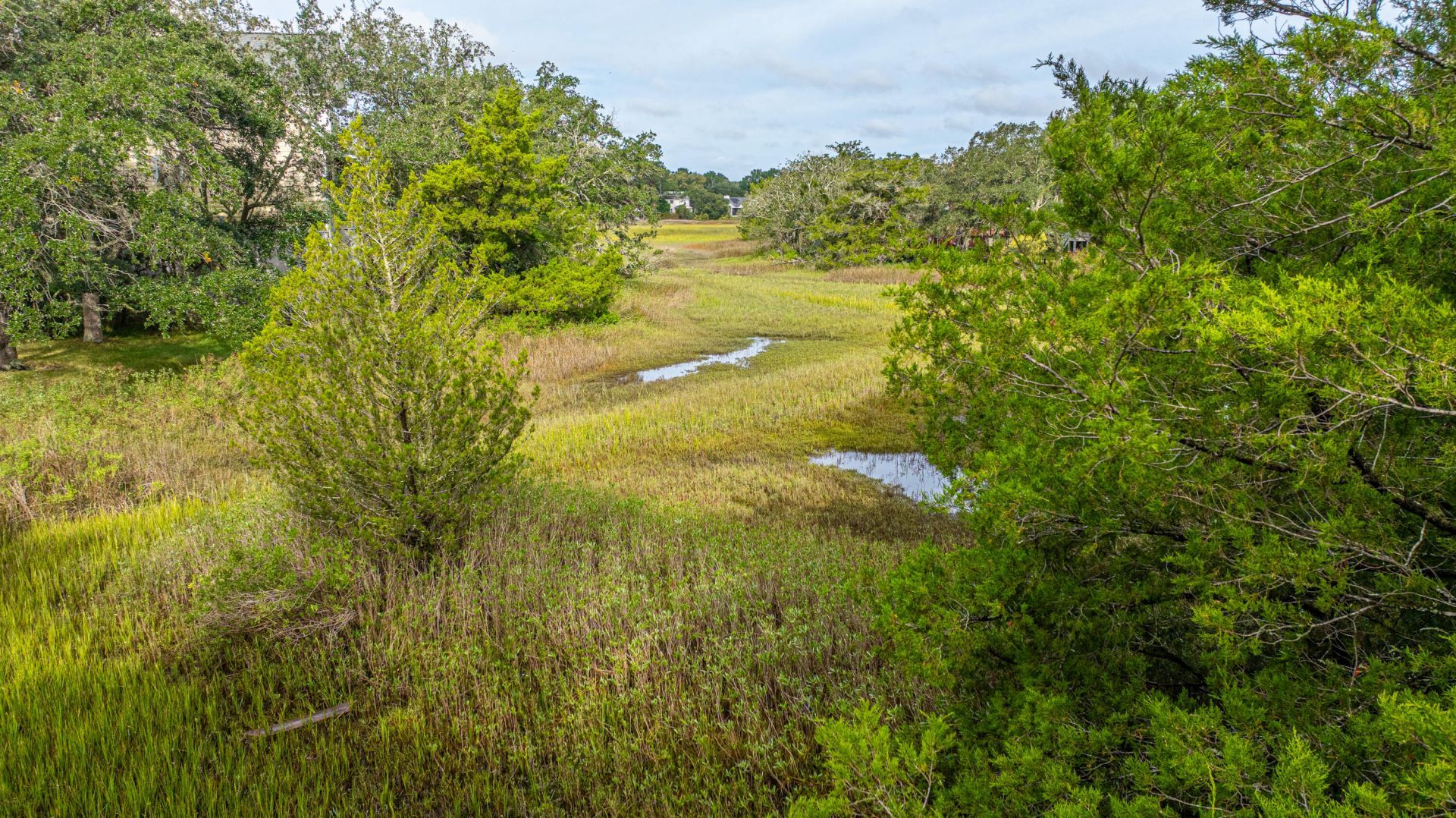 1250 Seaside Plantation Drive Photo 40