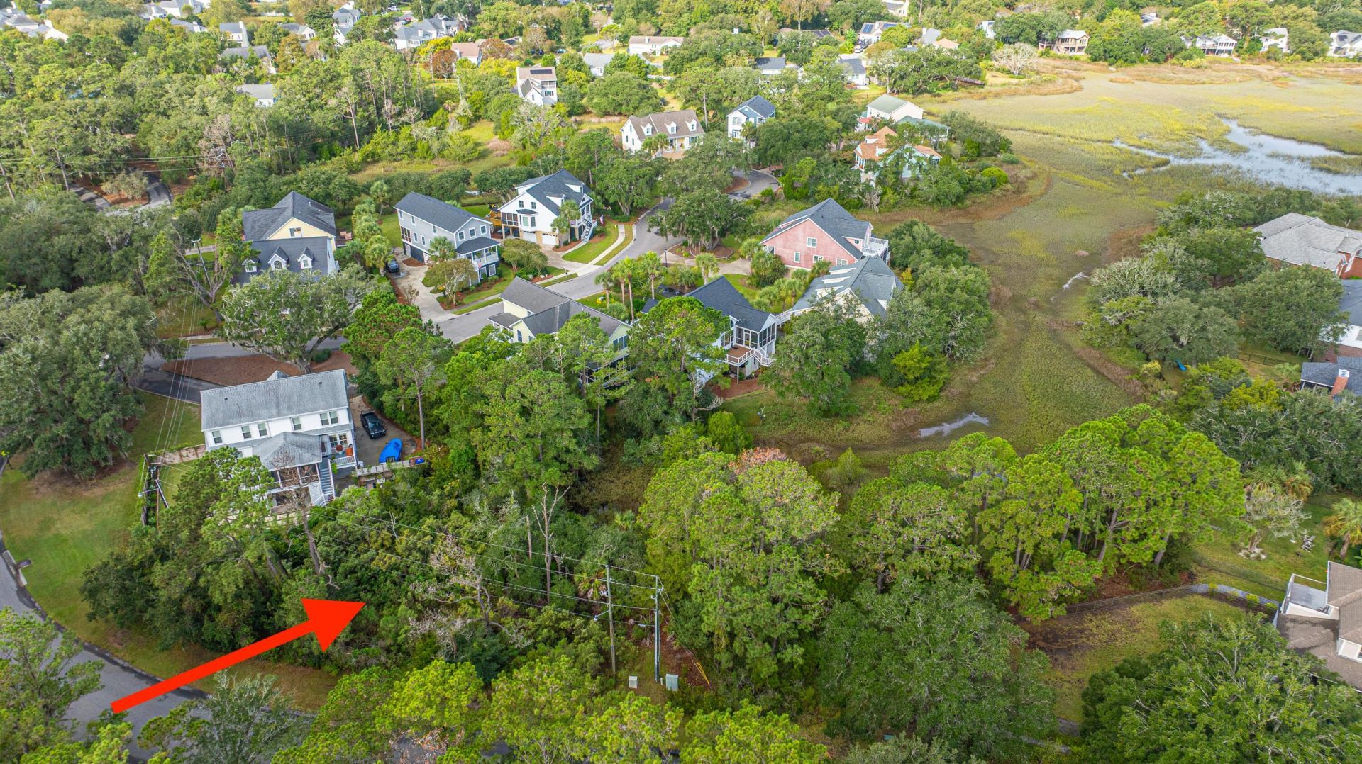 1250 Seaside Plantation Drive Photo 5