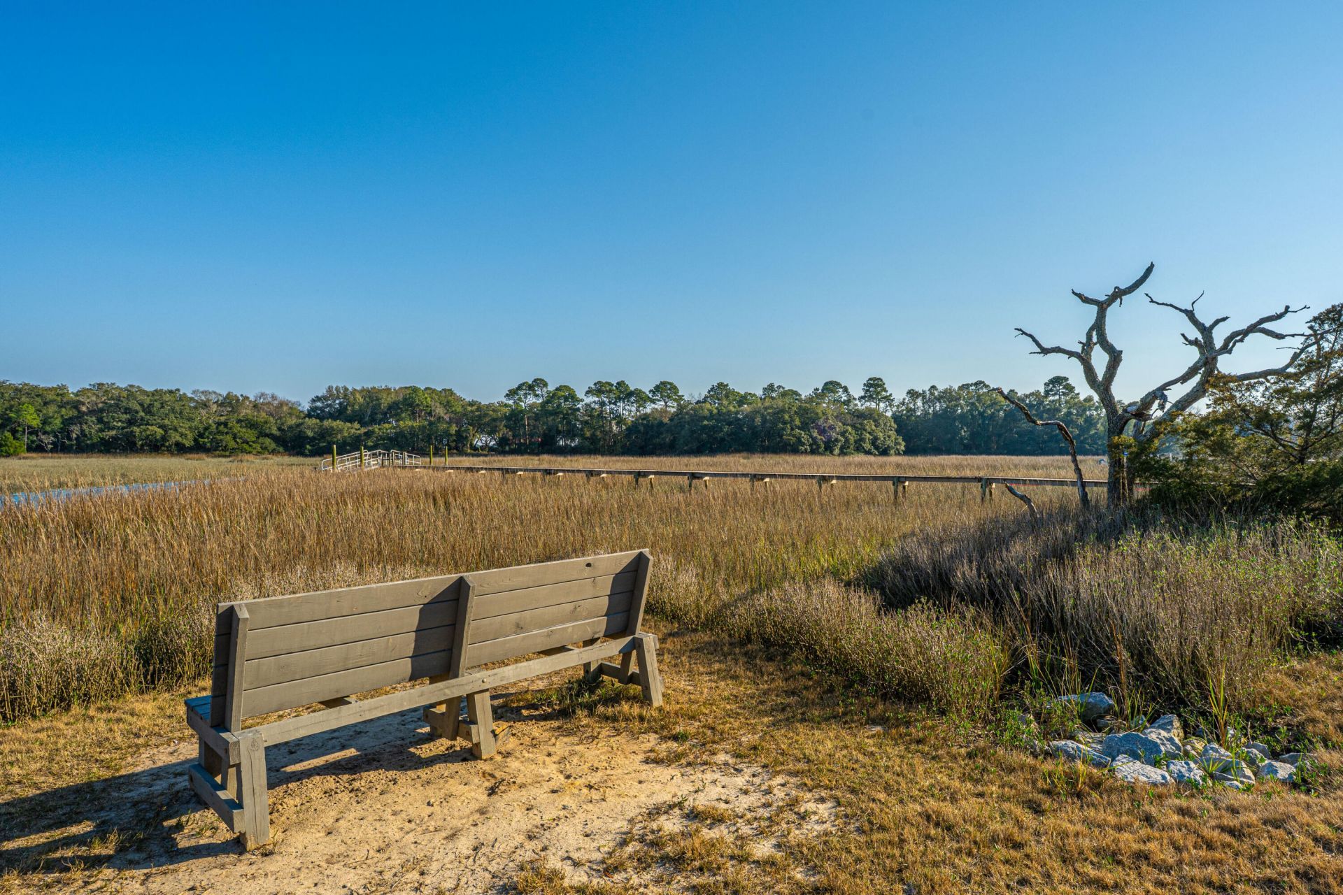 1250 Seaside Plantation Drive Photo 53