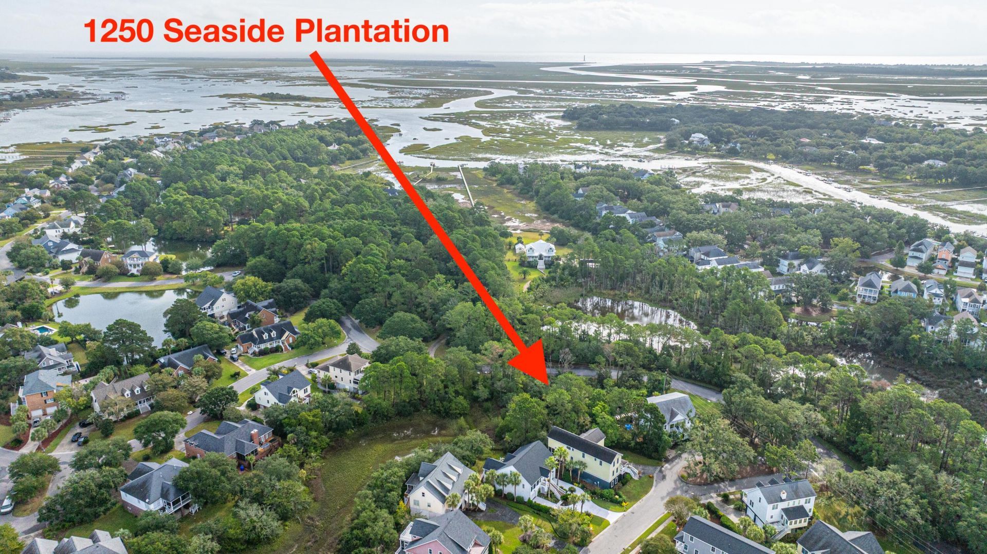 1250 Seaside Plantation Drive Photo 7