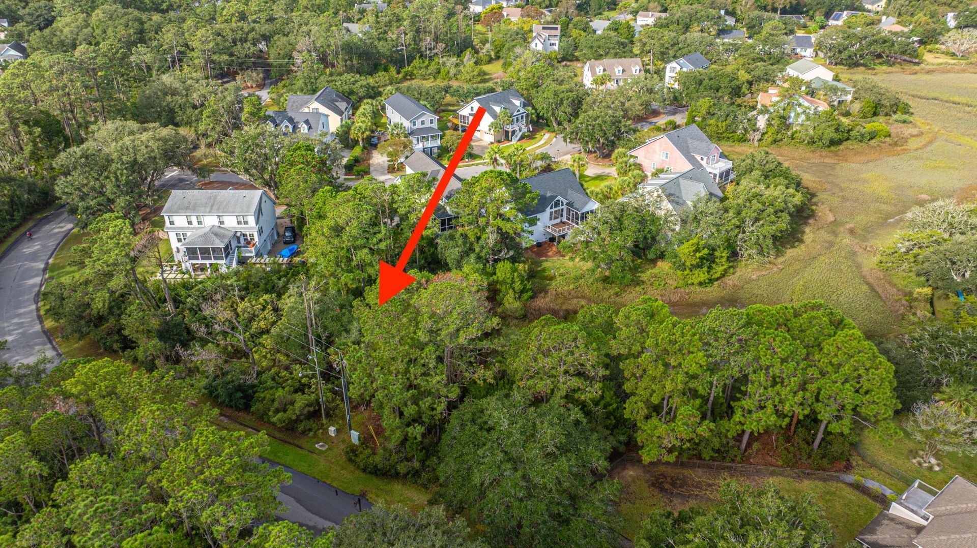 1250 Seaside Plantation Drive Photo 8