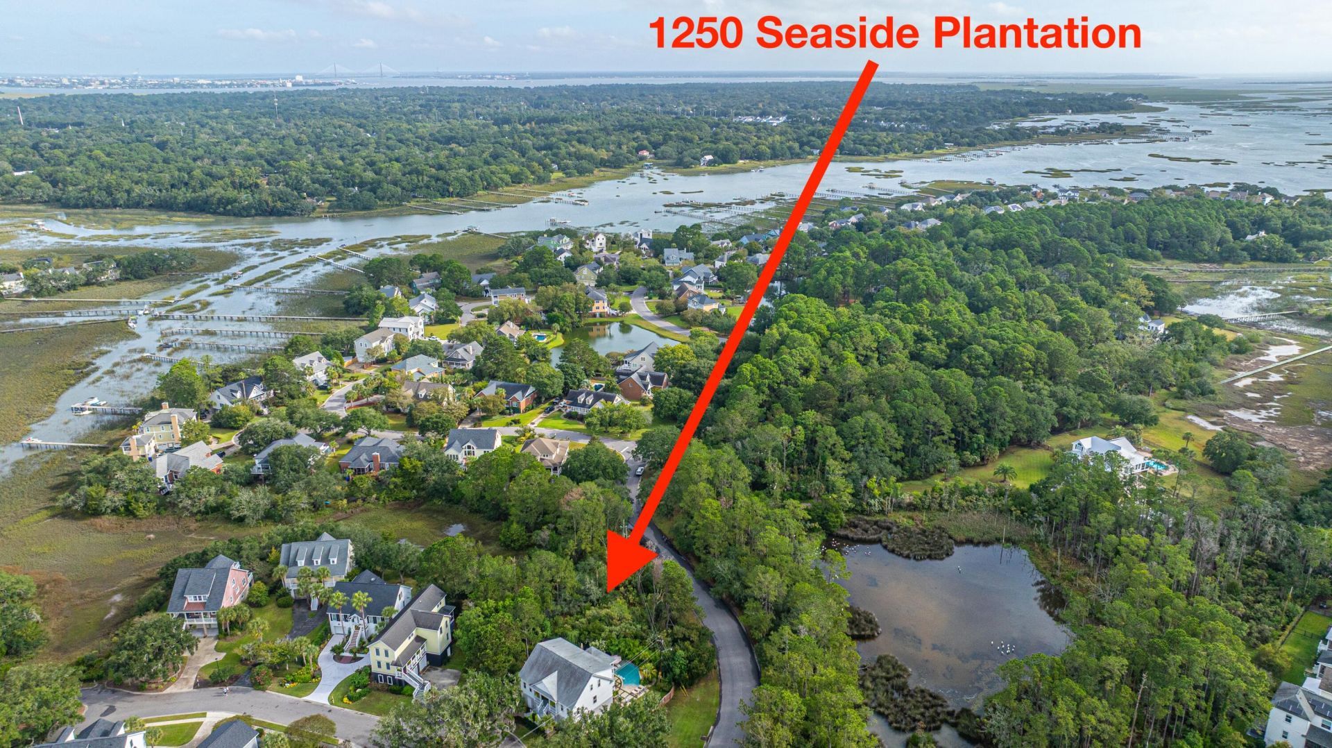 1250 Seaside Plantation Drive Photo 8