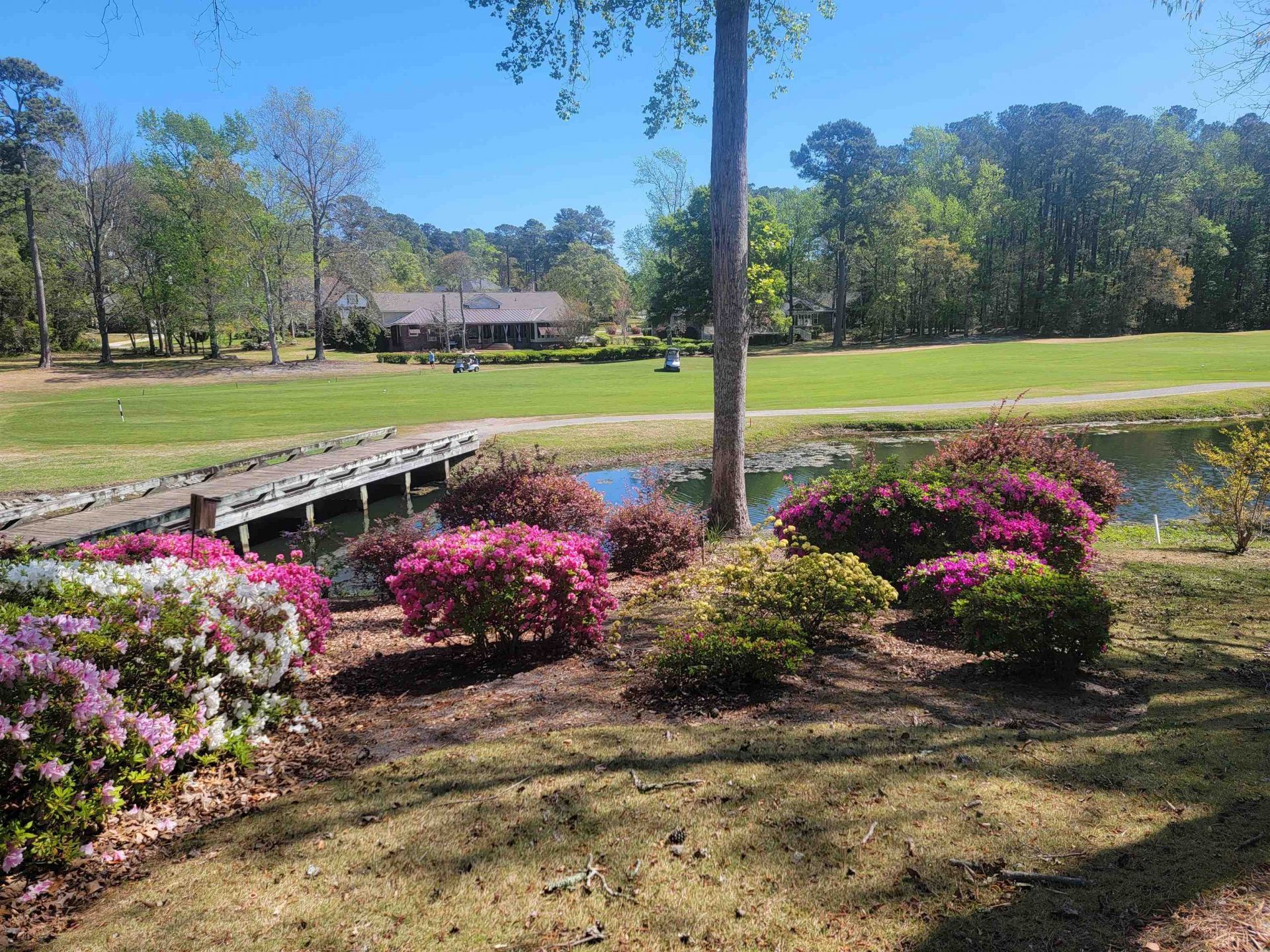 3111 Robyn Ct. Photo 10