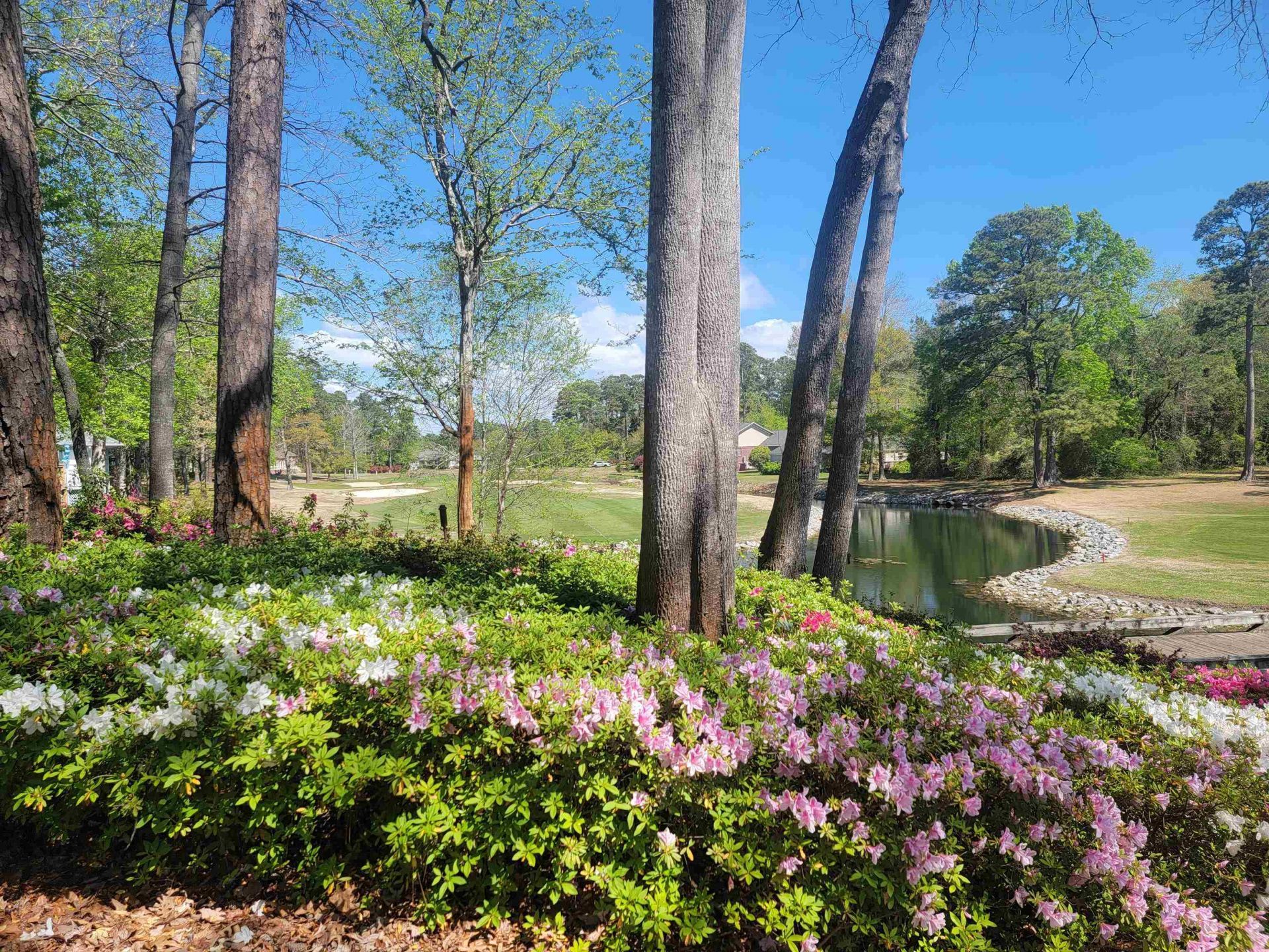 3111 Robyn Ct. Photo 12