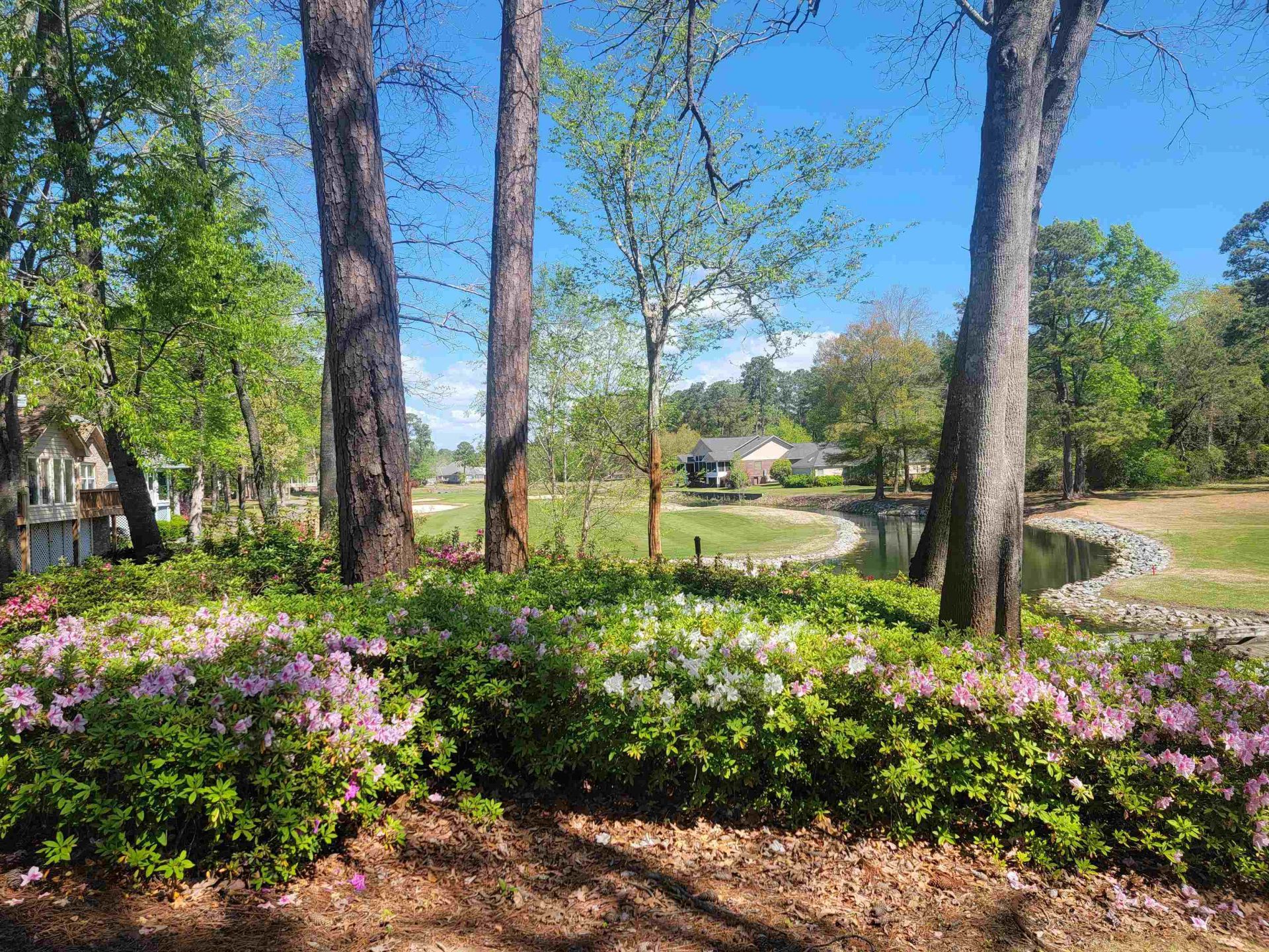 3111 Robyn Ct. Photo 52