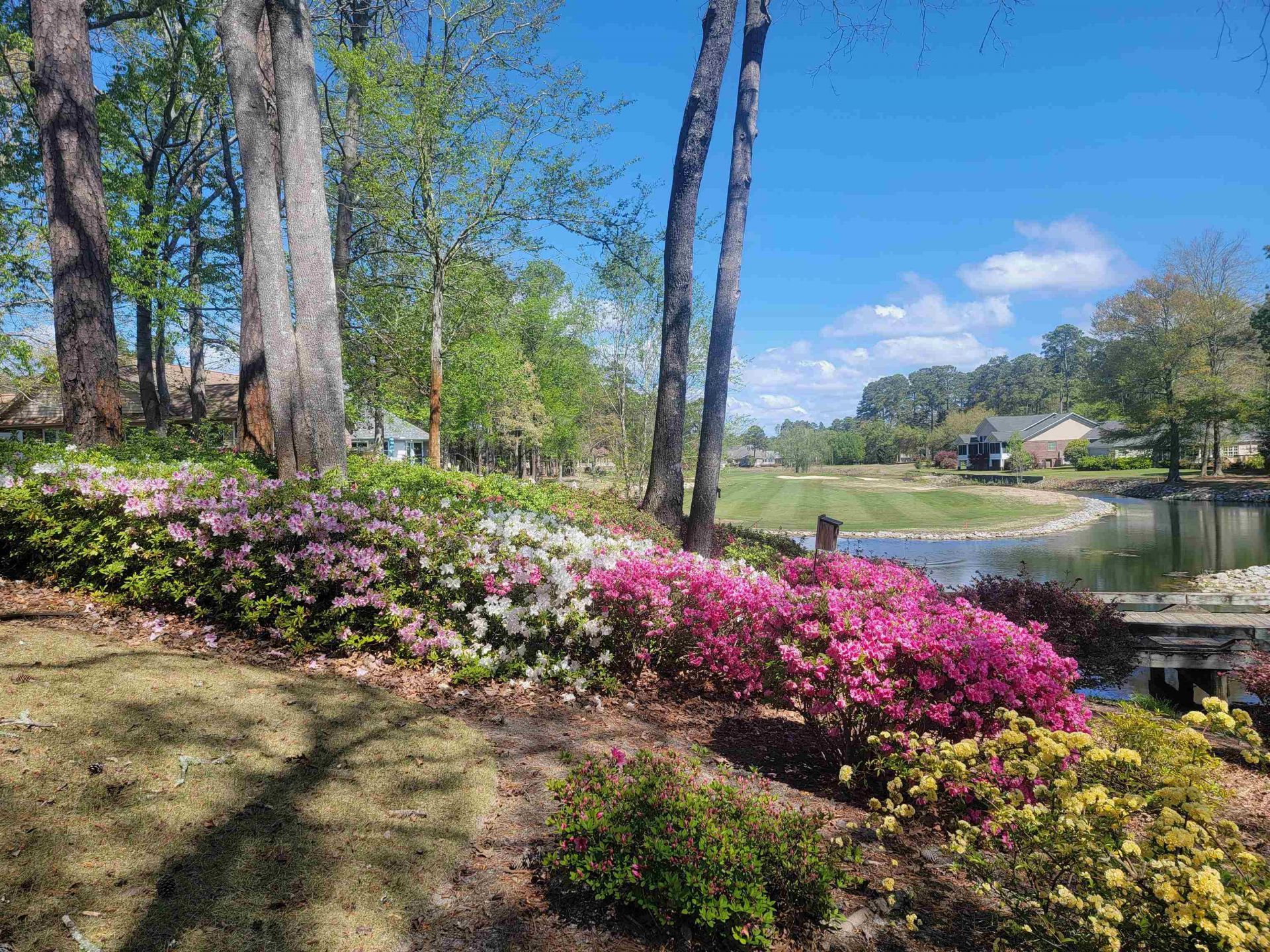 3111 Robyn Ct. Photo 53