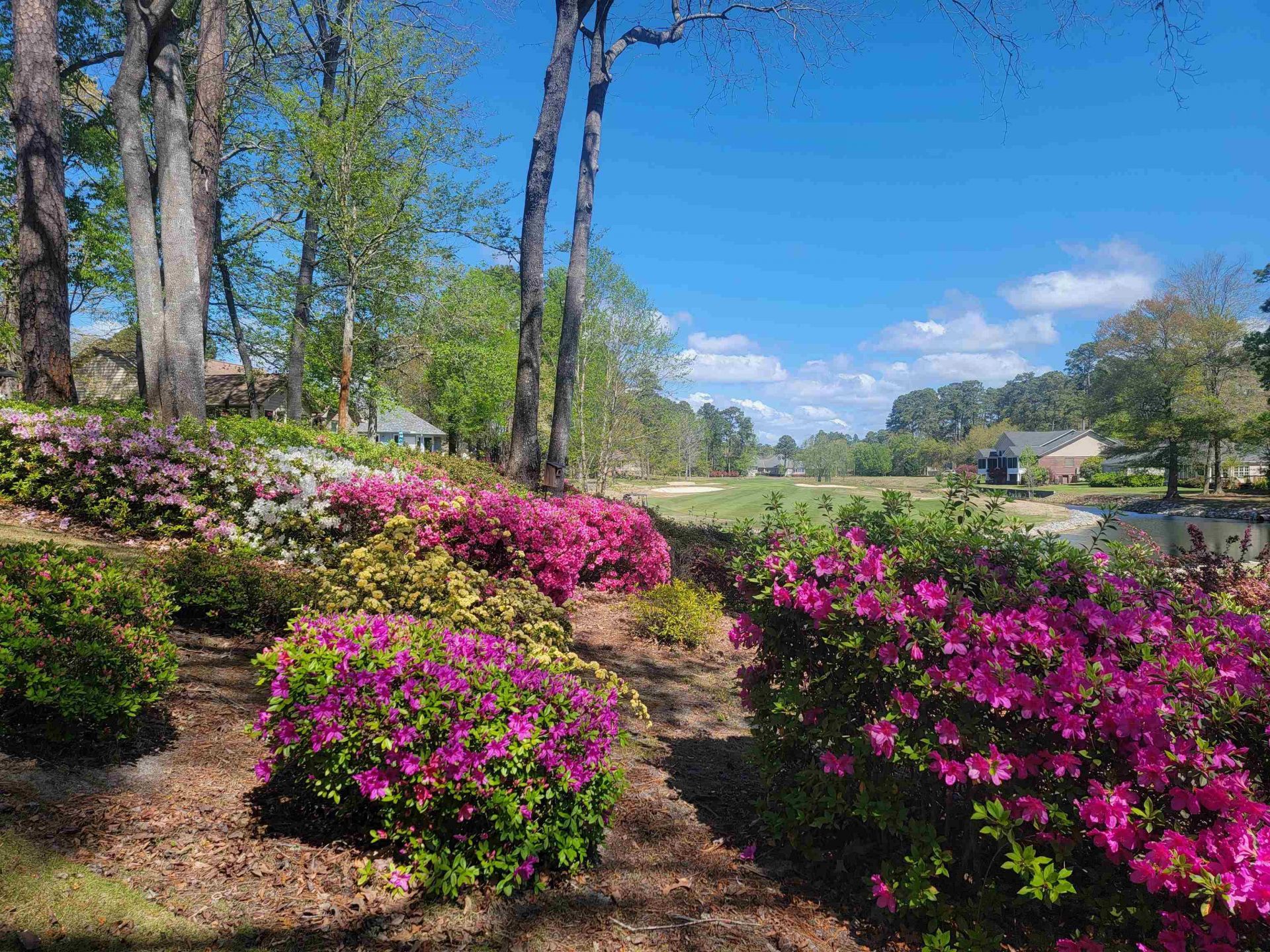 3111 Robyn Ct. Photo 54