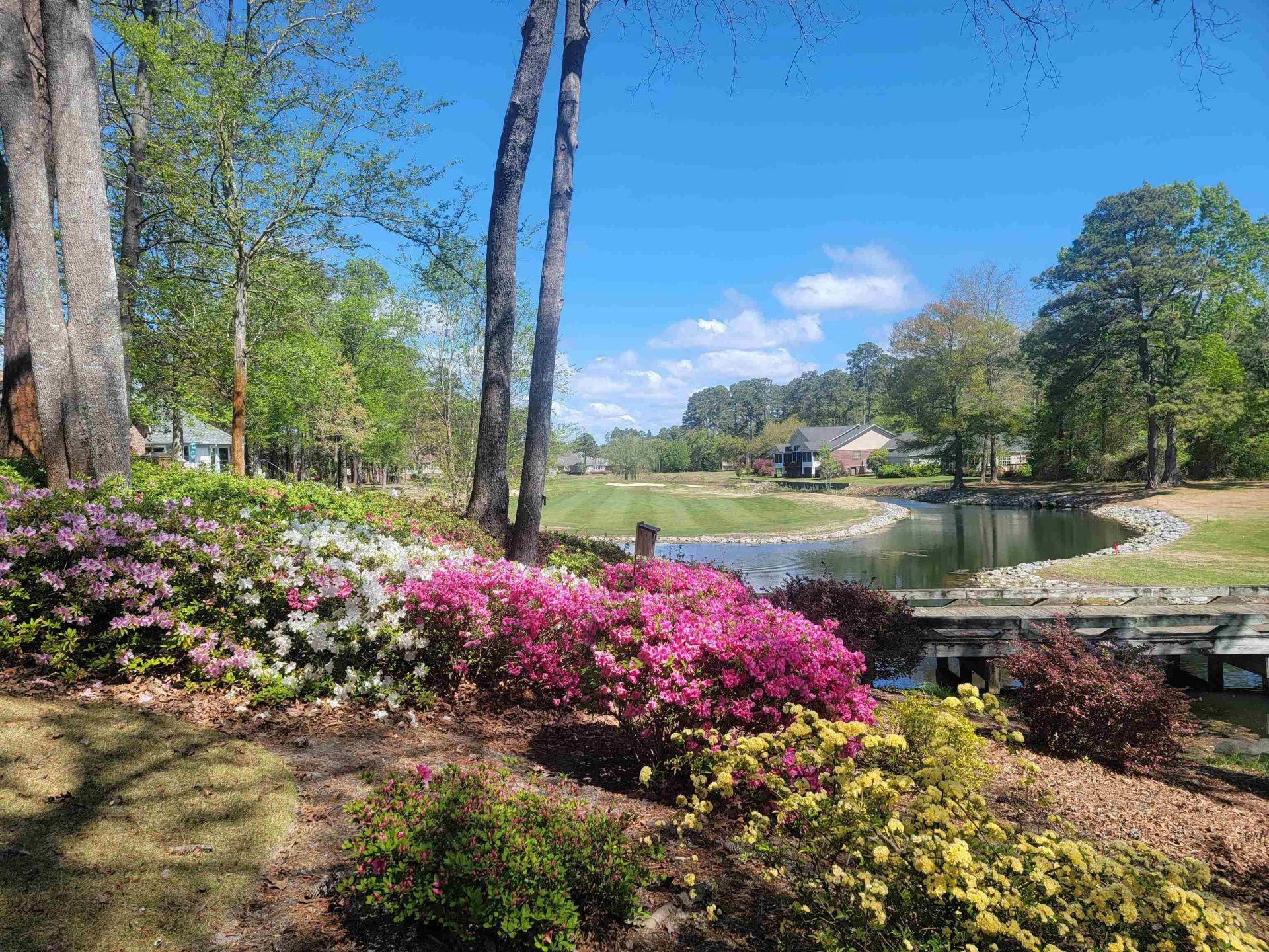 3111 Robyn Ct. Photo 7