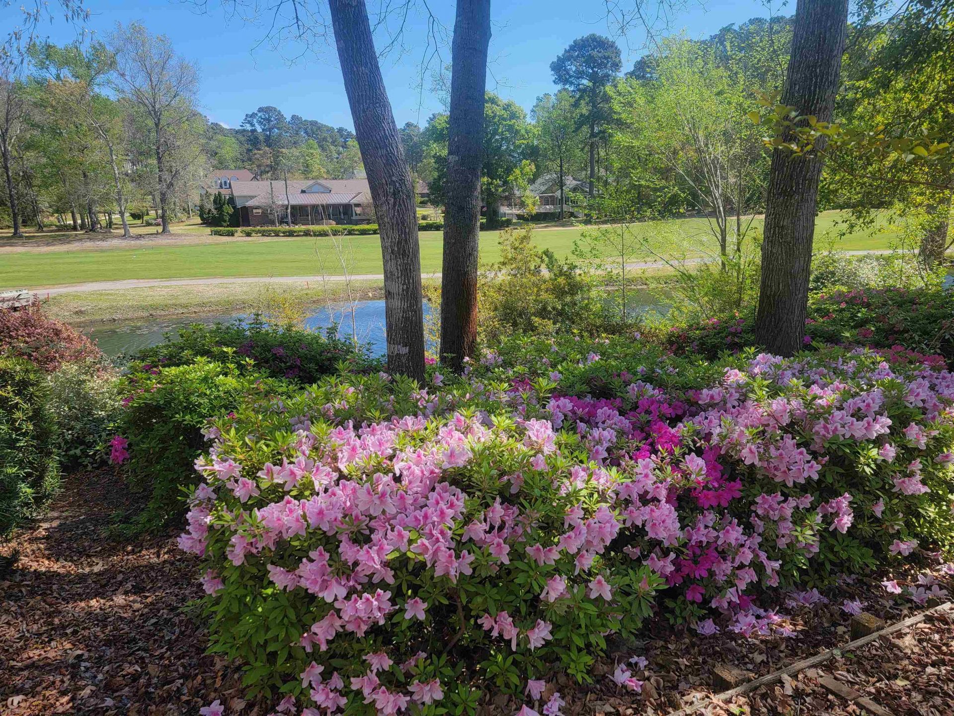 3111 Robyn Ct. Photo 8