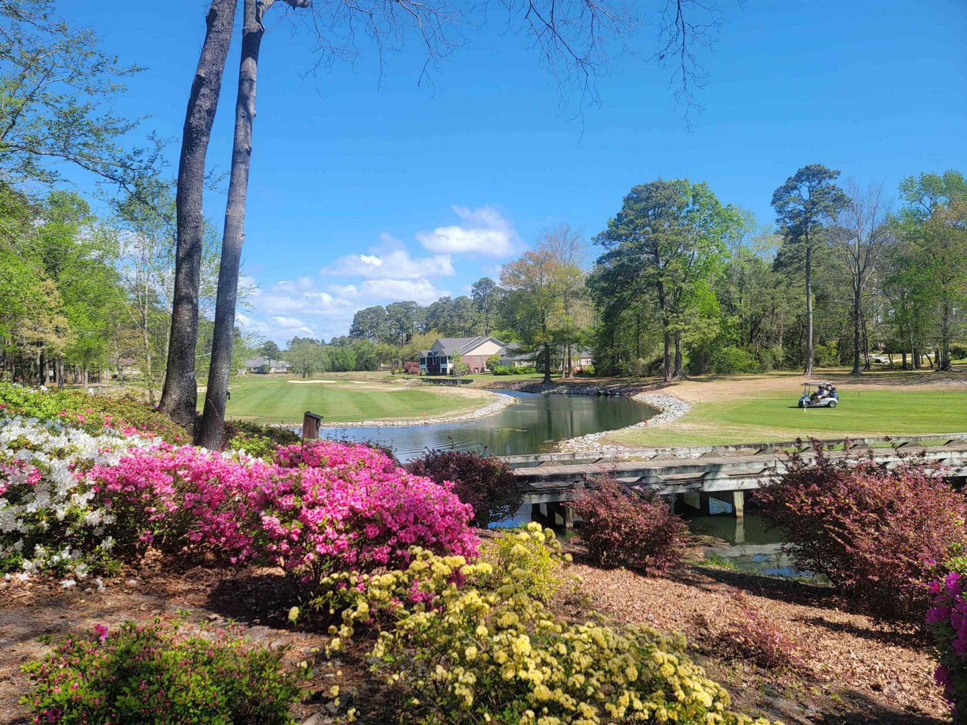 3111 Robyn Ct. Photo 9