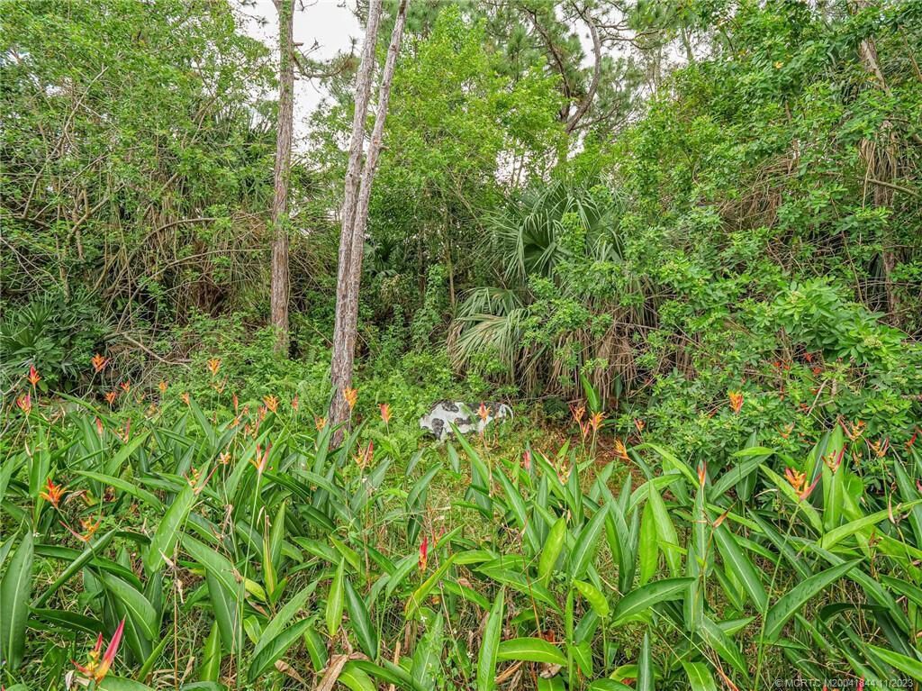 3866 SE Jefferson Street, Stuart, FL 34997 Photo