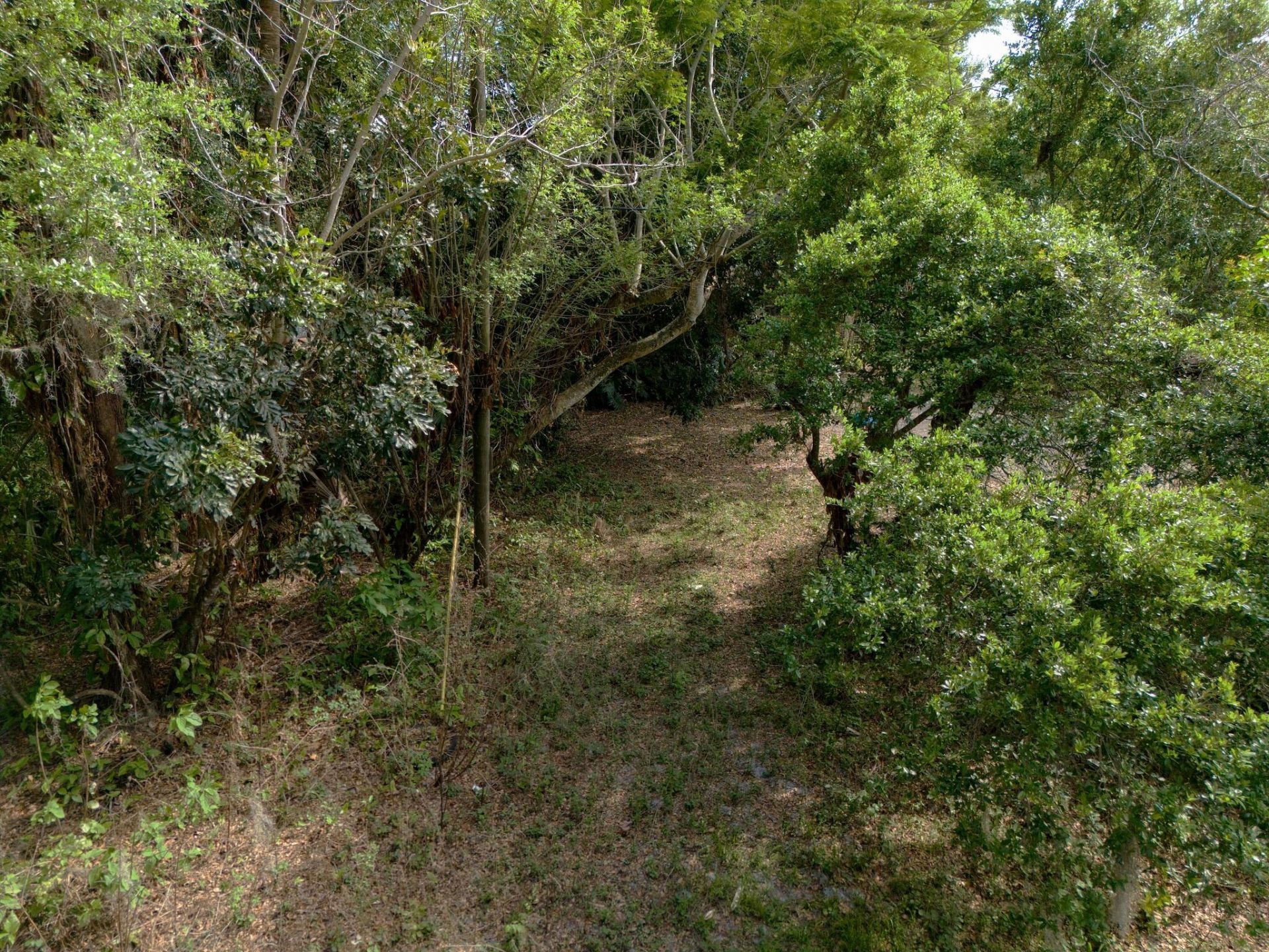 1202 Australian Avenue, Fort Pierce, FL 34982 Photo