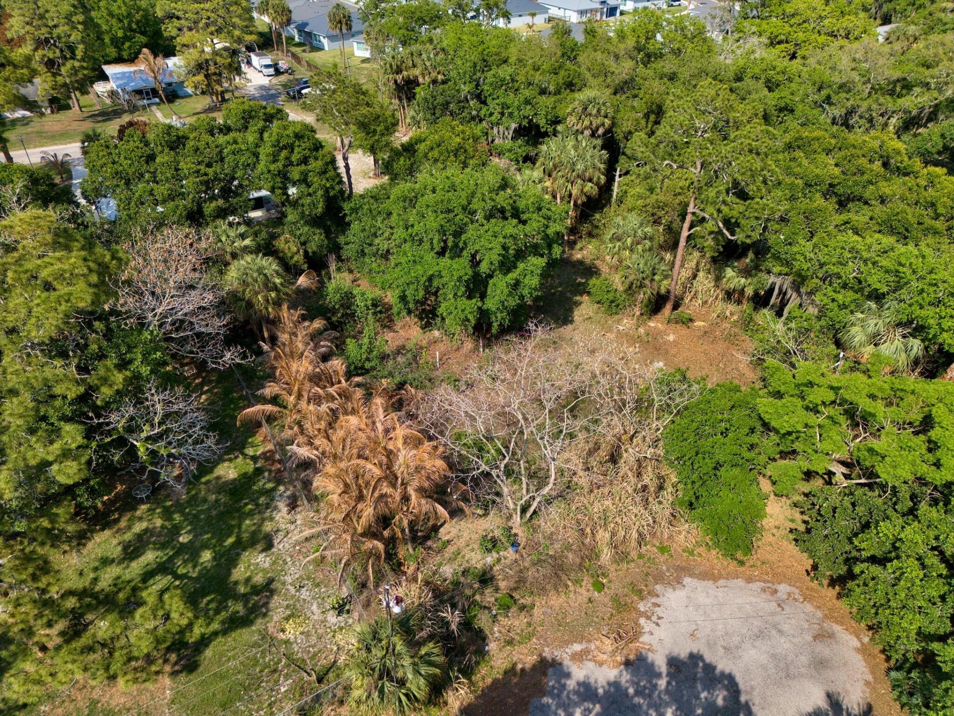 1202 Australian Avenue, Fort Pierce, FL 34982 Photo